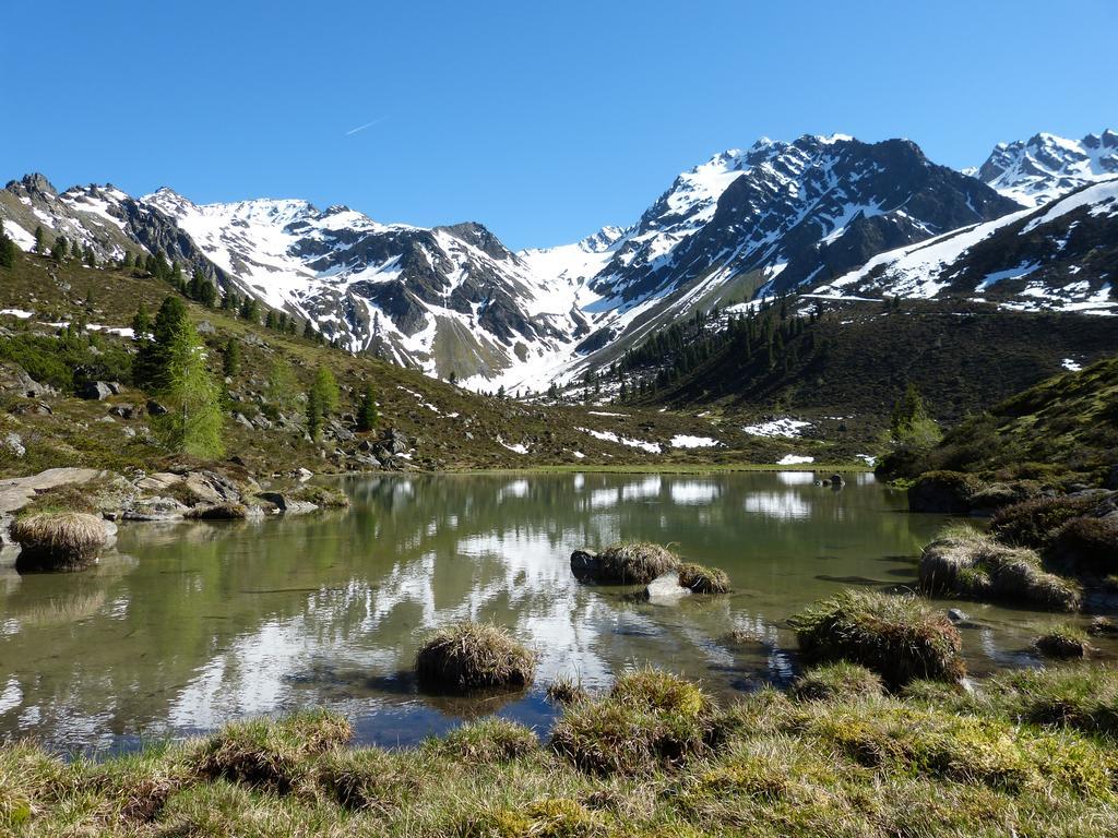 Alpengasthof Koefels 엄하우젠 외부 사진